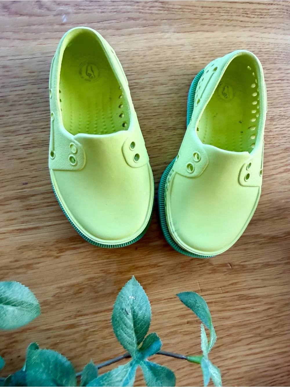 Native Shoes Kids Baby's Lime Green Water Slip-On Loafers!